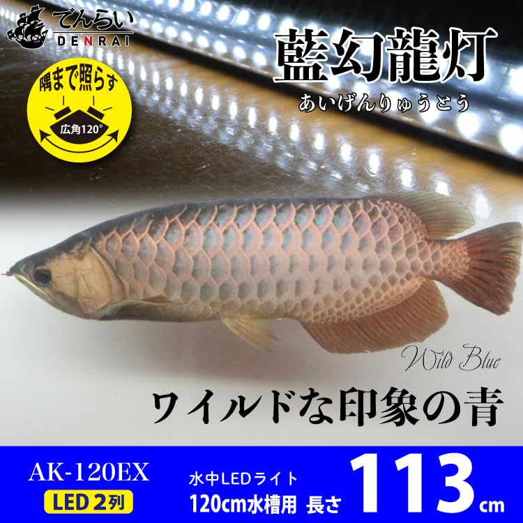 Amazon.co.jp: でんらい 水中照明 アロワナライト LED 熱帯魚ライト